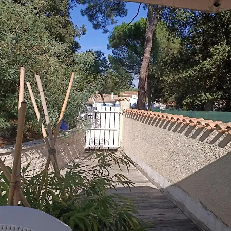 Pomme De Pin Et Mimosa Ferienhaus *