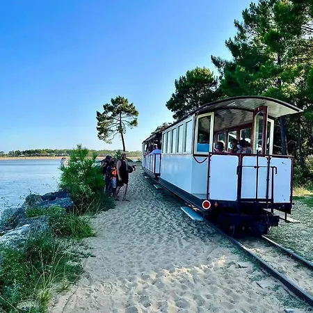 Ferienhaus Pomme De Pin Et Mimosa *