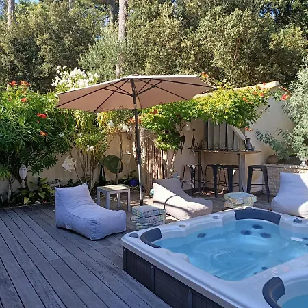 Pomme De Pin Et Mimosa * Grand-Village-Plage