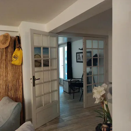 Pomme De Pin Et Mimosa *