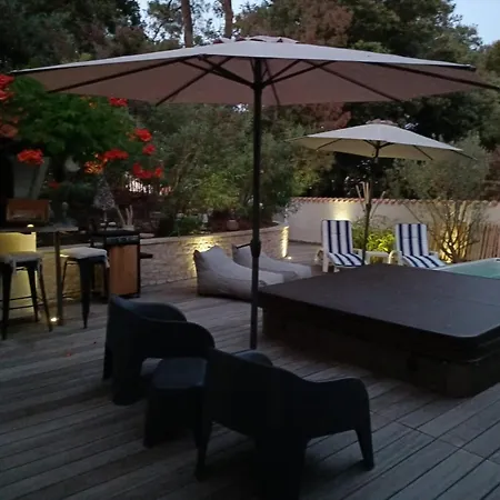 Pomme De Pin Et Mimosa *