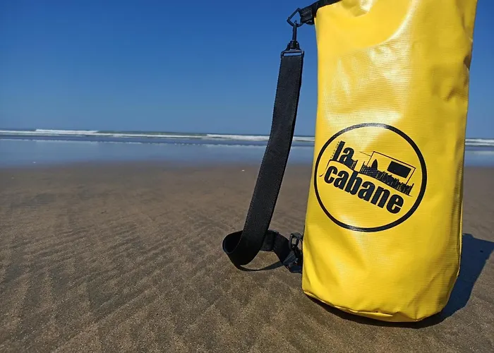 Pomme De Pin Et Mimosa * Grand-Village-Plage