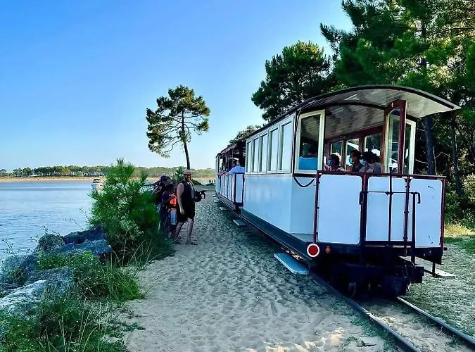 بيت للعطل Pomme De Pin Et Mimosa *