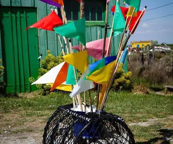 Pomme De Pin Et Mimosa