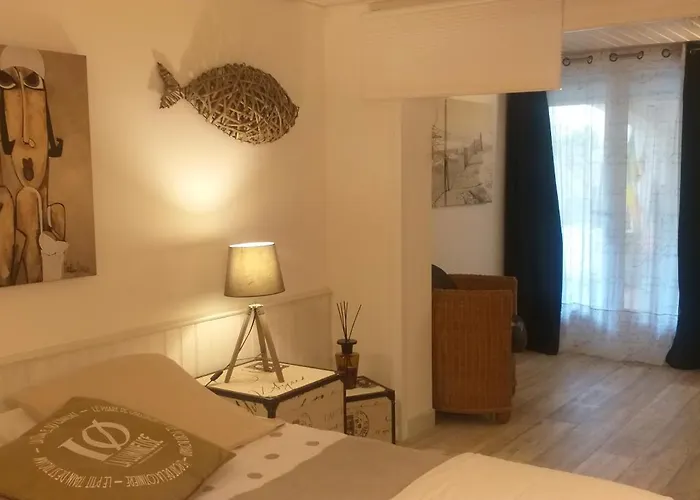 Pomme De Pin Et Mimosa